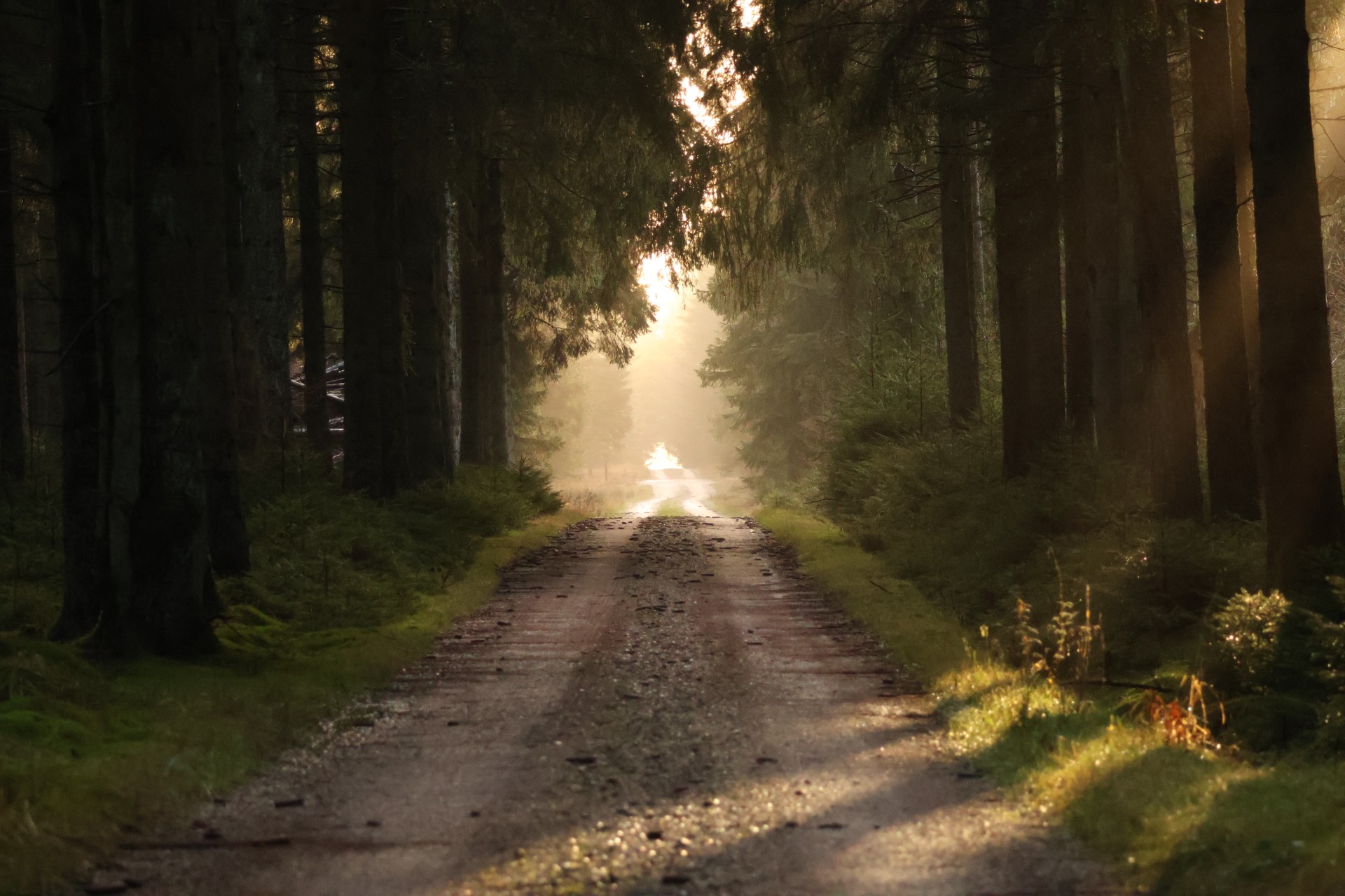 Foto: Christoffer Toft Hviid Jensen